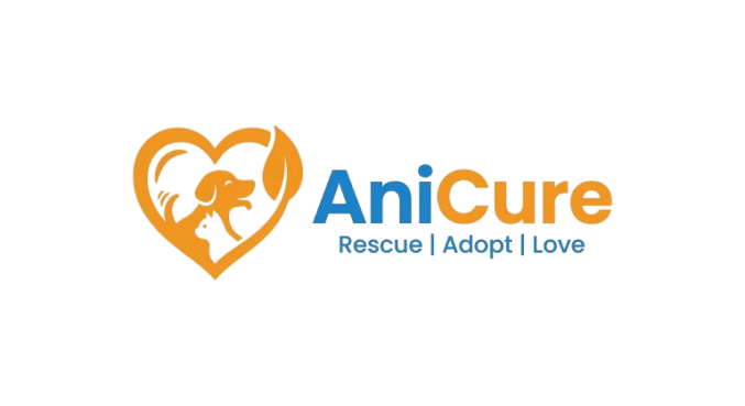 AniCure Logo